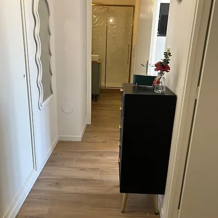 Le Romane- T2 Proche Centre-ville Et Parking Gratuit 阿雅克肖