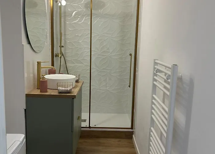 Le Romane- T2 Proche Centre-ville Et Parking Gratuit Appartement *